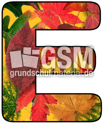 Herbstbuchstabe-5-E.jpg